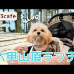 【六甲山ランチ】愛犬と行ける六甲山頂カフェで贅沢ランチ。