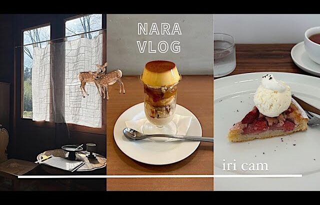 🇯🇵NARA Vlog / 奈良カフェ / 大人の奈良旅 / ならまち / 生駒山 /奈良sweets / 奈良土産 / 奈良旅行 / 奈良ランチ / 鹿 /興福寺/ 五重塔