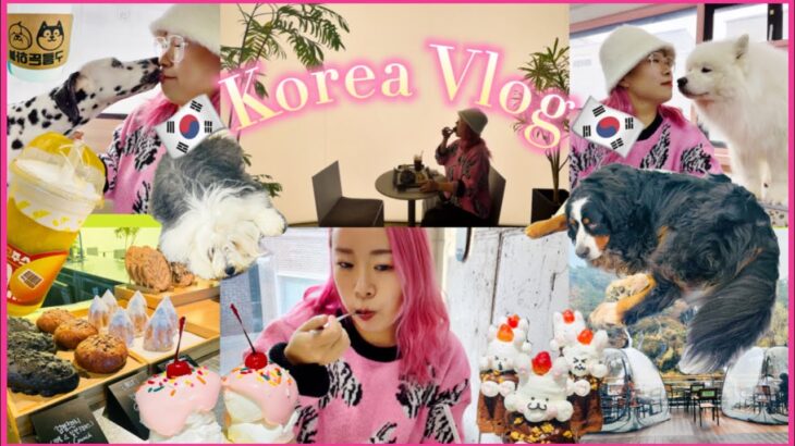 【韓国女子旅🇰🇷✈️】並ばない穴場onion紹介/大型犬カフェ/都会の中のオアシス自然カフェ/食べ　歩き癒しの韓国旅行Vlog#4【最終話】