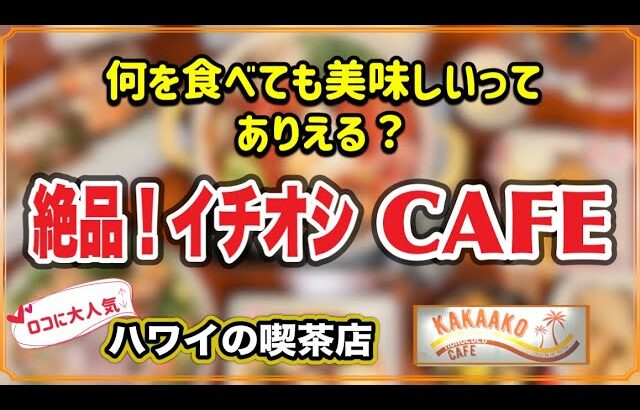 【イチ推しカフェ】ハワイ・ロコに大人気☆何を食べても美味しいカフェはココ！#ハワイ#ハワイ旅行#最新情報#高画質（英語字幕付)