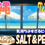 きれいな海の前のカフェに行ってみたら天国。【SALT＆PEPPER】【沖縄旅行】【犬】【ペット可】【食事】