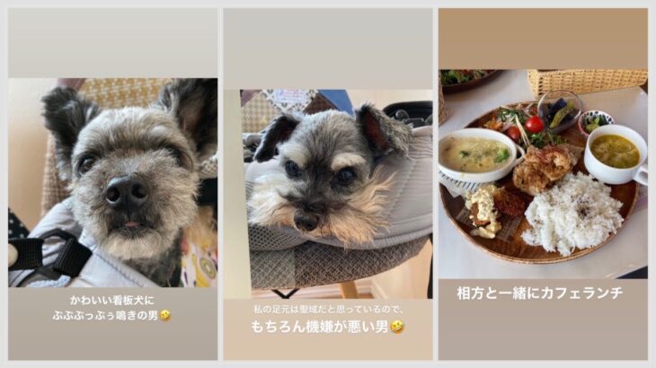 黒もしょ～ず、ドッグカフェでのランチにお付き合いする（Today’s Instagram Stories 2023年8月4日）