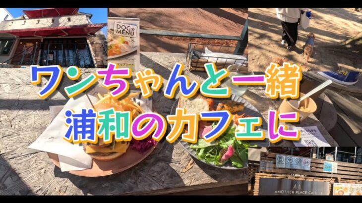 さいたま市 浦和 別所沼公園 おしゃれなカフェ 愛犬とランチ another place cafe