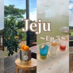 【Jeju trip EP.3】 韓国🇰🇷秋のチェジュ島旅行(映えカフェ/みかん狩り/乗馬)