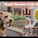 【テラス席ペット可】青山・外苑前でひと息🥕【Royal Garden Cafe AOYAMA】