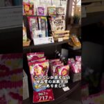 沖縄グルメ　穴場カフェ