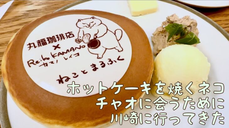 【カフェ巡り】丸福珈琲店「ねことまるふく」