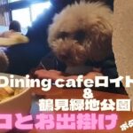 『ワンコとお出掛け』Dining cafeロイドライトとボタニカルハウス　あとちょっとだけ鶴見緑地公園