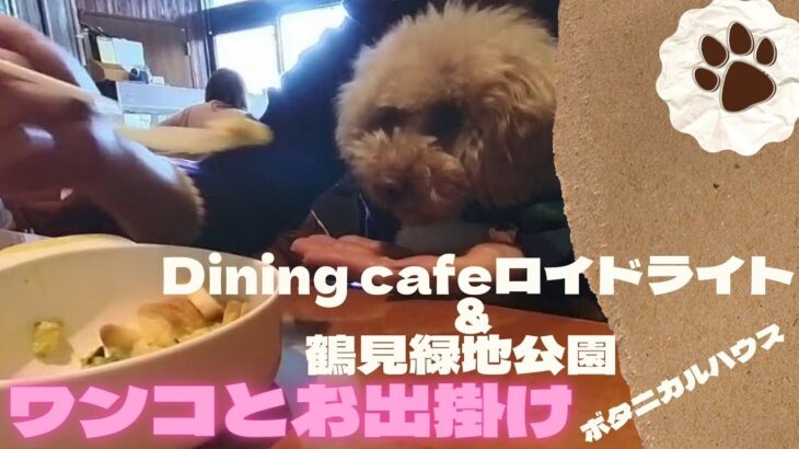 『ワンコとお出掛け』Dining cafeロイドライトとボタニカルハウス　あとちょっとだけ鶴見緑地公園