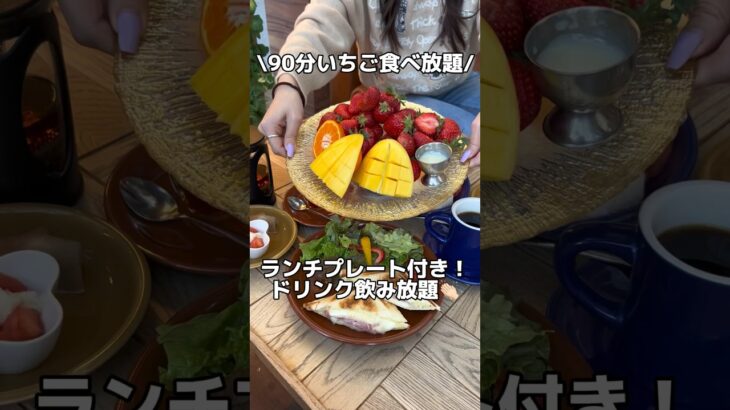 EXGARDEN CAFE〜いちご＆ケーキ食べ放題🍓〜#六本木グルメ#六本木カフェ#いちご食べ放題#いちご#いちごスイーツ#食べ放題#カフェ#カフェ巡り#午後のグルメ#グルメ女子#カフェ時間#いちご