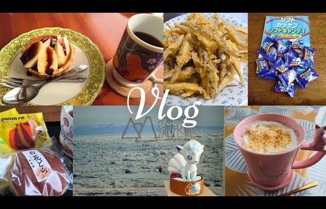 【日常vlog】新規開拓カフェ巡り/豚丼/ワカサギてんぷら/お土産/羽前屋さんのお菓子