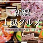 【新潟 上越グルメ】2024観桜会に行くならここも！豪華 海鮮丼ランチ/地元人気のケーキ店と持ち込みOKの喫茶店でカフェタイム/穴場お花見スポットもご紹介【高田城址公園】