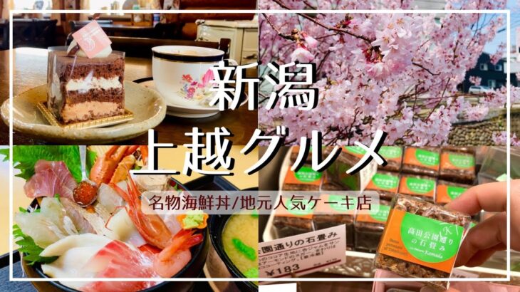 【新潟 上越グルメ】2024観桜会に行くならここも！豪華 海鮮丼ランチ/地元人気のケーキ店と持ち込みOKの喫茶店でカフェタイム/穴場お花見スポットもご紹介【高田城址公園】