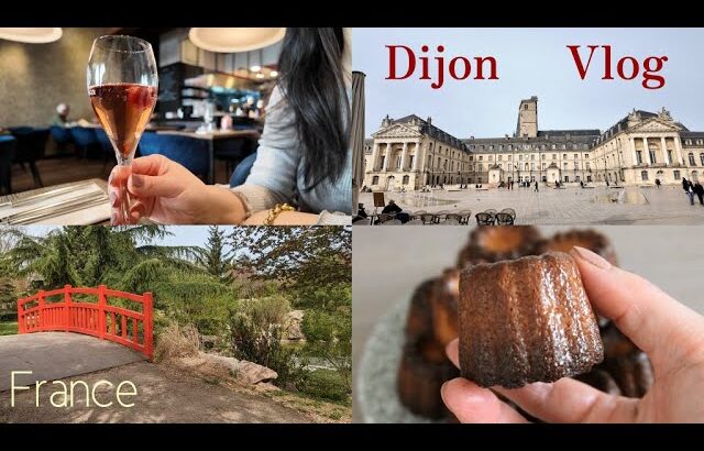 【フランス】Dijon Vlog : レストランでランチ/町散歩/カフェで抹茶ラテ/カヌレ作り/日本庭園