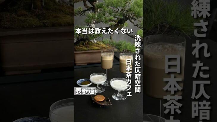 表参道カフェ【洗練された仄暗空間、日本茶カフェ : 松葉屋茶寮】#表参道カフェ#表参道ランチ#japanesetea