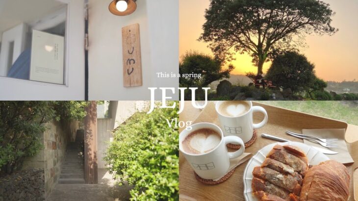 チェジュ島のハネムーンヴィラでのんびり&チェジュカフェ巡り #jeju #bayhillpoolvilla #umu【韓国旅行vlog】