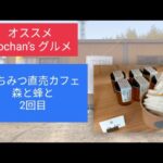 オススメ　qlochan’s グルメ１３　はちみつ直売カフェ　森と蜂と　２回目　６．３．３１