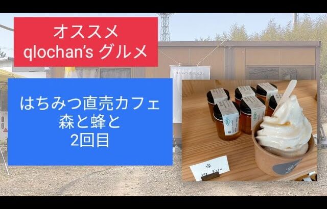 オススメ　qlochan’s グルメ１３　はちみつ直売カフェ　森と蜂と　２回目　６．３．３１