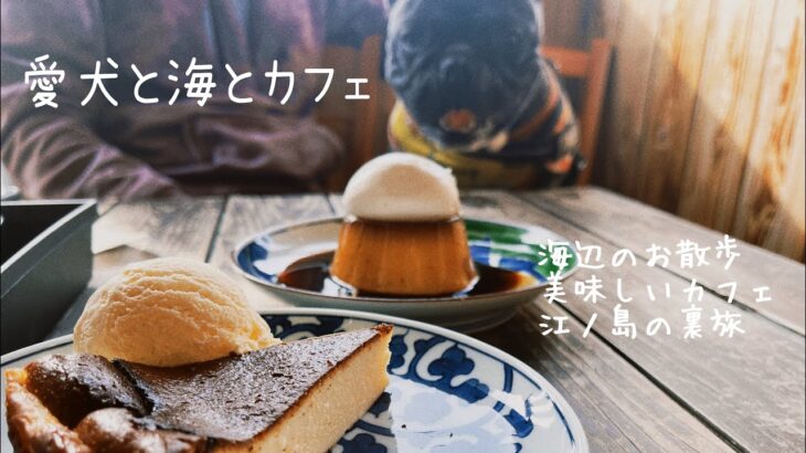 愛犬と海とカフェ[神奈川県 江ノ島] 海でお散歩。美味しいカフェ。江ノ島の裏旅。
