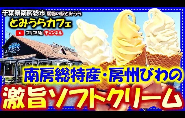 【とみうらカフェ】千葉県南房総市・房総の駅とみうら　南房総特産・房州びわの激旨ソフトクリーム！#アイス#ソフトクリーム#房総#観光#房総観光＃旅行#グルメ#南房総#カフェ#CAFE千葉#穴場#ドライブ