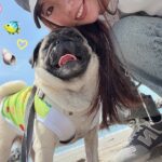 【仙台】七ヶ浜のペット可カフェ🏖️SEA SAW⚓️🐾#パグ #犬のいる生活 #わんこ #ペット #愛犬 #犬旅 #pug #dog #animal