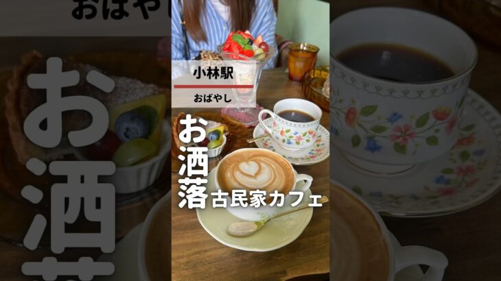 日本一かわいいフィニャンシェがたべられるカフェ！大阪の野田にあるとれぽ珈琲では猫型のフィナンシェことフィニャンシェがたべられるよ！ぜひ行ってみてね #大阪グルメ #大阪カフェ