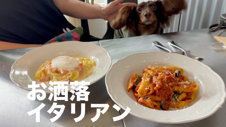 愛犬と一緒に行くイタリアンランチ／cafe terrassse emu（カフェテラス　エム）