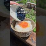 デートにおすすめ！/大自然を感じる癒しカフェが最高すぎた！ #shorts #卵かけごはん #奈良穴場