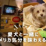 【店内ペット同伴可】愛犬と一緒にアメリカ気分を！