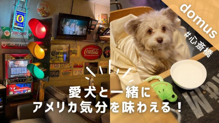 【店内ペット同伴可】愛犬と一緒にアメリカ気分を！