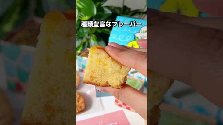 見た目も可愛い唯一無二のパウンドケーキ🍰#パウンドケーキ #映え #焼き菓子 #沖縄グルメ #沖縄土産 #渋谷カフェ #渋谷グルメ #チョコレートケーキ #ショートケーキ #スポンジケーキ