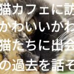 【保護犬猫カフェ巡り　東京編】彼らの幸せのために私たちができる選択とは…？