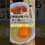 【鳥◯食堂✕タニタカフェ】究極の卵かけご飯定食！