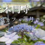 池上本門寺-古民家カフェ蓮月でランチ-/あじさいが見頃、妙見堂・養源寺を巡る