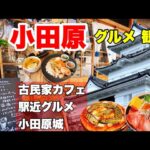 小田原観光・グルメ編【小田原城/古民家カフェ/海鮮丼/駅近グルメ】日帰りで人気！