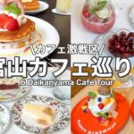 【代 官 山】おしゃれカフェ激戦区！代官山のおすすめカフェ６選～デート、女子会、ペット可◎～ 6 Daikanyama cafe tour(with English subtitles)