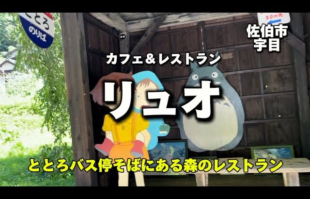 大分グルメ71  カフェ＆レストラン　リュオ　ととろバス停そばにある森のレストラン✨