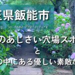 【埼玉グルメ】埼玉県飯能市にて紫陽花の穴場スポットを堪能した後は住宅街に潜む隠れカフェでゆったりした休日を-vlog-