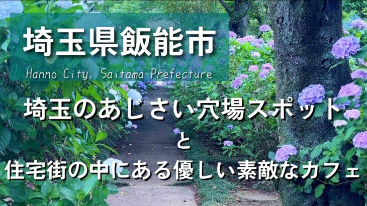 【埼玉グルメ】埼玉県飯能市にて紫陽花の穴場スポットを堪能した後は住宅街に潜む隠れカフェでゆったりした休日を-vlog-