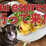 綾瀬のおしゃれカフェBlau espresso （ブラウ エスプレッソ）に行って来たよ｜I visited the stylish café Blau Espresso in Ayase!