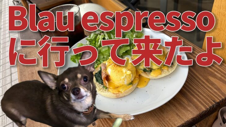 綾瀬のおしゃれカフェBlau espresso （ブラウ エスプレッソ）に行って来たよ｜I visited the stylish café Blau Espresso in Ayase!