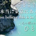 東京とは思えない穴場、絶景、森のカフェ2選、The Cafe in the forest