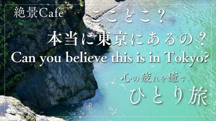 東京とは思えない穴場、絶景、森のカフェ2選、The Cafe in the forest