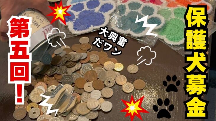 第5回保護犬募金 【アカデミーカフェ】