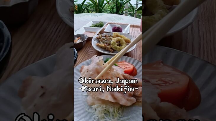 오키나와 여행 북부 코우리섬 카페 런치 맛집 Cafe t & c 沖縄 古宇利島 グルメ 穴場 カフェ