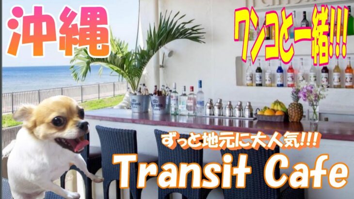 海辺の人気カフェ【Transit Cafe】【沖縄旅行】【犬】【ペット可】【食事】