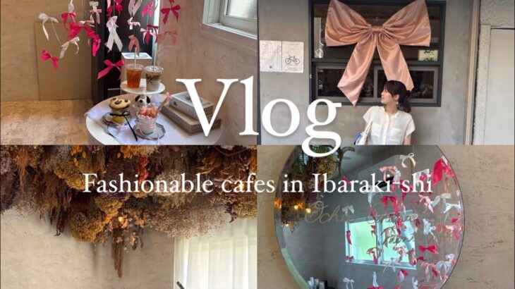 【大阪カフェVlog🧸】茨木市の映えカフェ2選☕️🥀