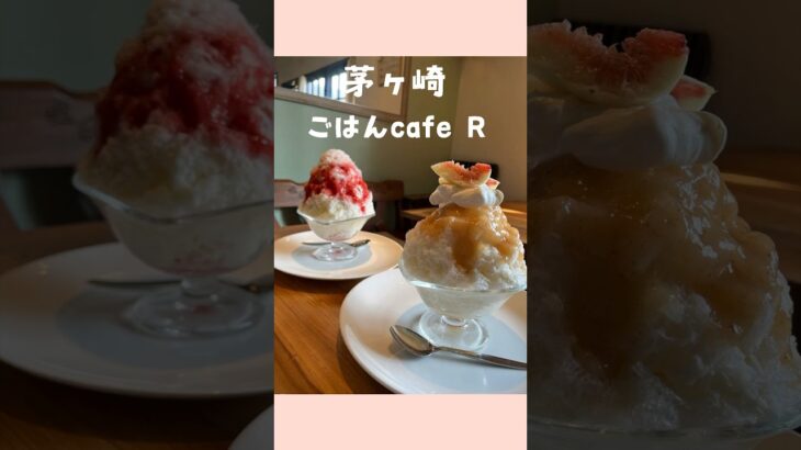 【茅ヶ崎🌴ごはんcafe R】いちじくマスカルポーネかき氷が最高🍧❤️#茅ヶ崎カフェ#short#shorts#カフェ巡り #湘南カフェ#茅ヶ崎かき氷#湘南かき氷