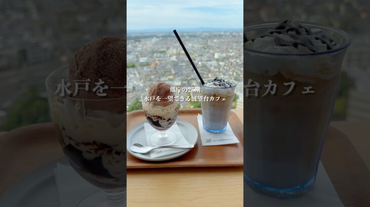 【茨城カフェ】地上100mの展望台カフェ☕️ パンダマーケット(茨城県庁) #茨城県 #水戸市 #カフェ #グルメ