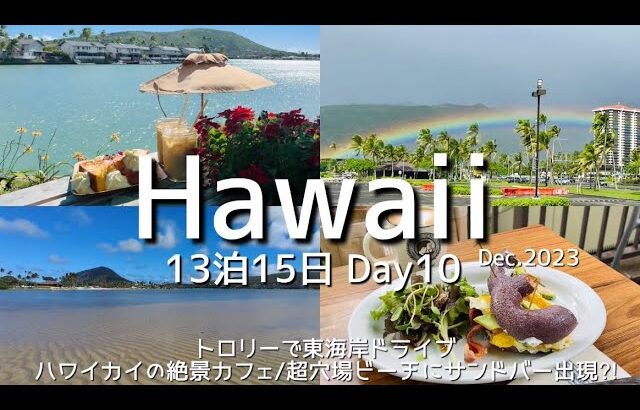 【Hawaii】Day10｜トロリーで東海岸ドライブ/ハワイカイの絶景カフェ/超穴場サンドバーが現れるビーチ